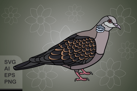 Download Oriental Turtle Dove - Oriental Collection